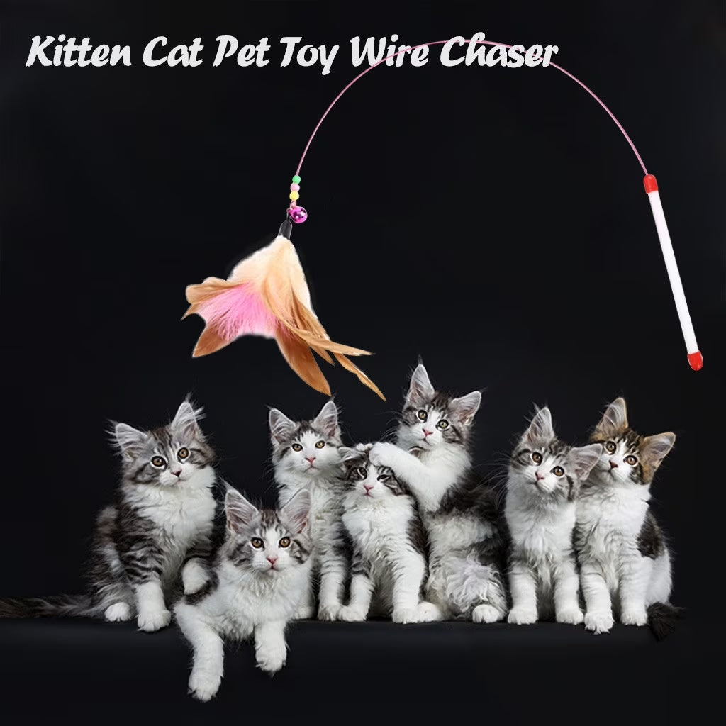 Interactive Flirt Pole Toy for Cat,Durable Teaser Wand Flirt Pole Toy to Outdoor Exercise & Training for Kitty,Small Dogs