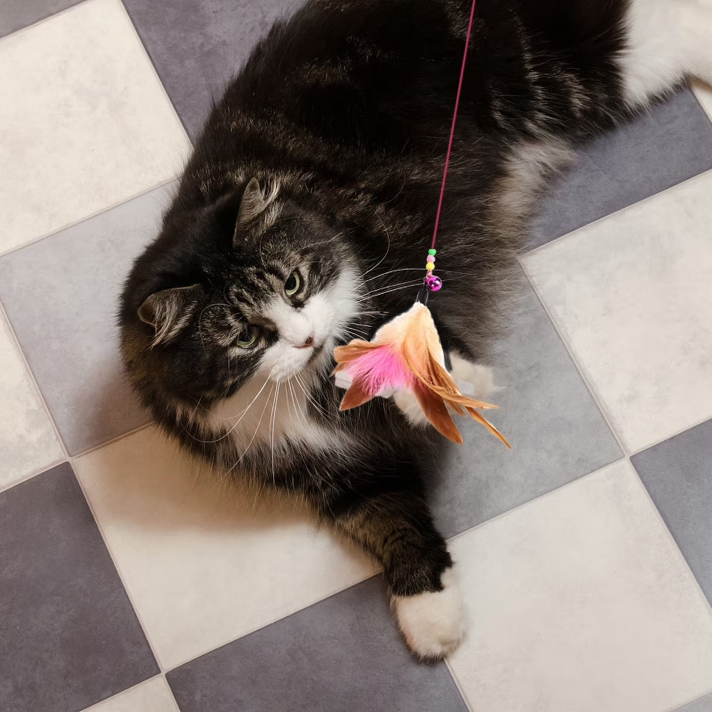 Interactive Flirt Pole Toy for Cat,Durable Teaser Wand Flirt Pole Toy to Outdoor Exercise & Training for Kitty,Small Dogs