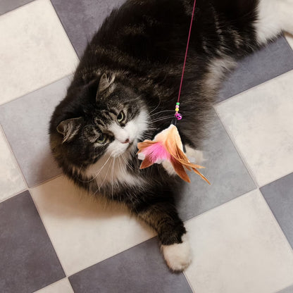 Interactive Flirt Pole Toy for Cat,Durable Teaser Wand Flirt Pole Toy to Outdoor Exercise & Training for Kitty,Small Dogs