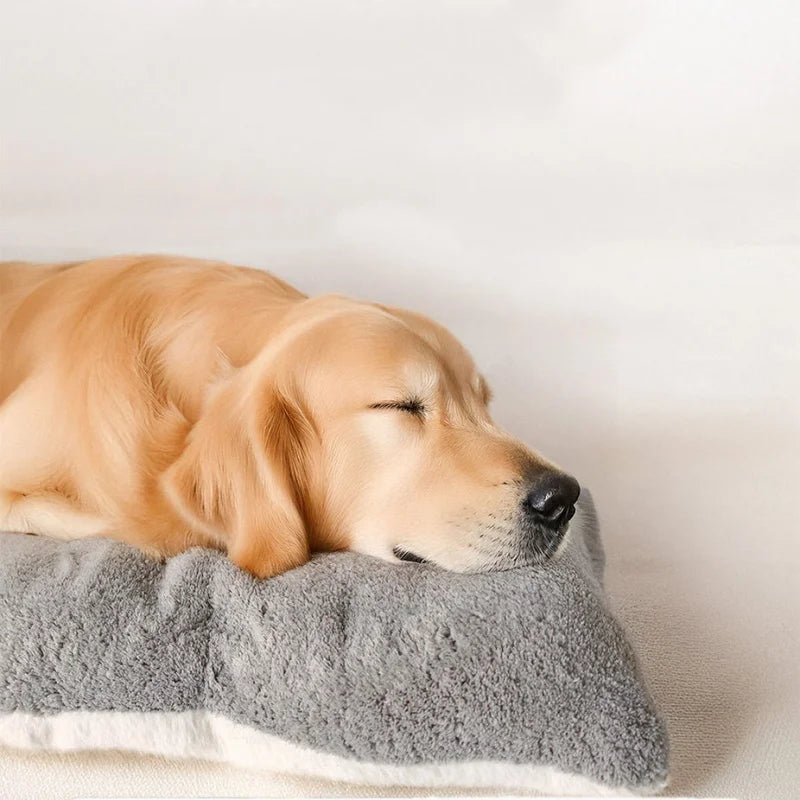 Extra Large Plush Dog Bed