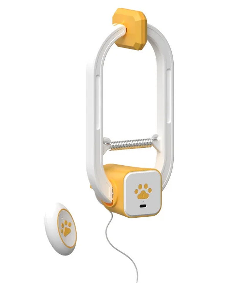 Remote-Controlled Cat Toys Swing Sticky Disc Elastic Hanging Door Teasing Cat Rope Long Rope Teasing Cat Cat Toy Pet Kitten Toy